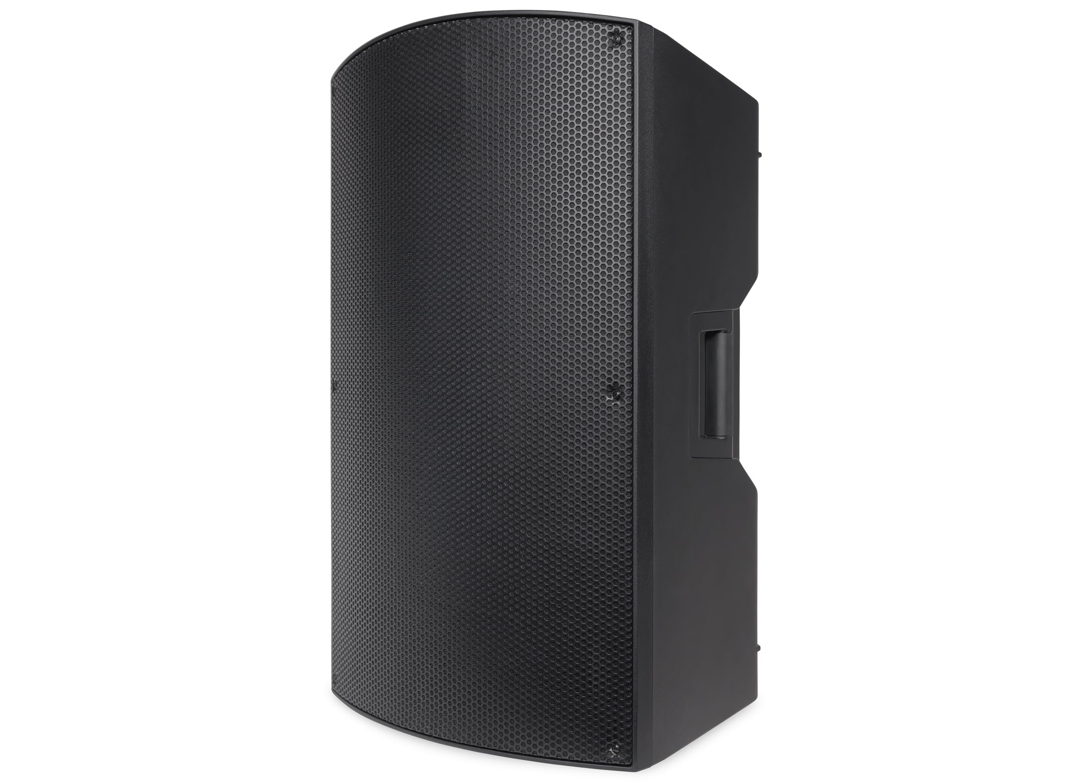 Pure Resonance Audio P115 Passive 15 Inch PA Speaker 350W Output Right Angle