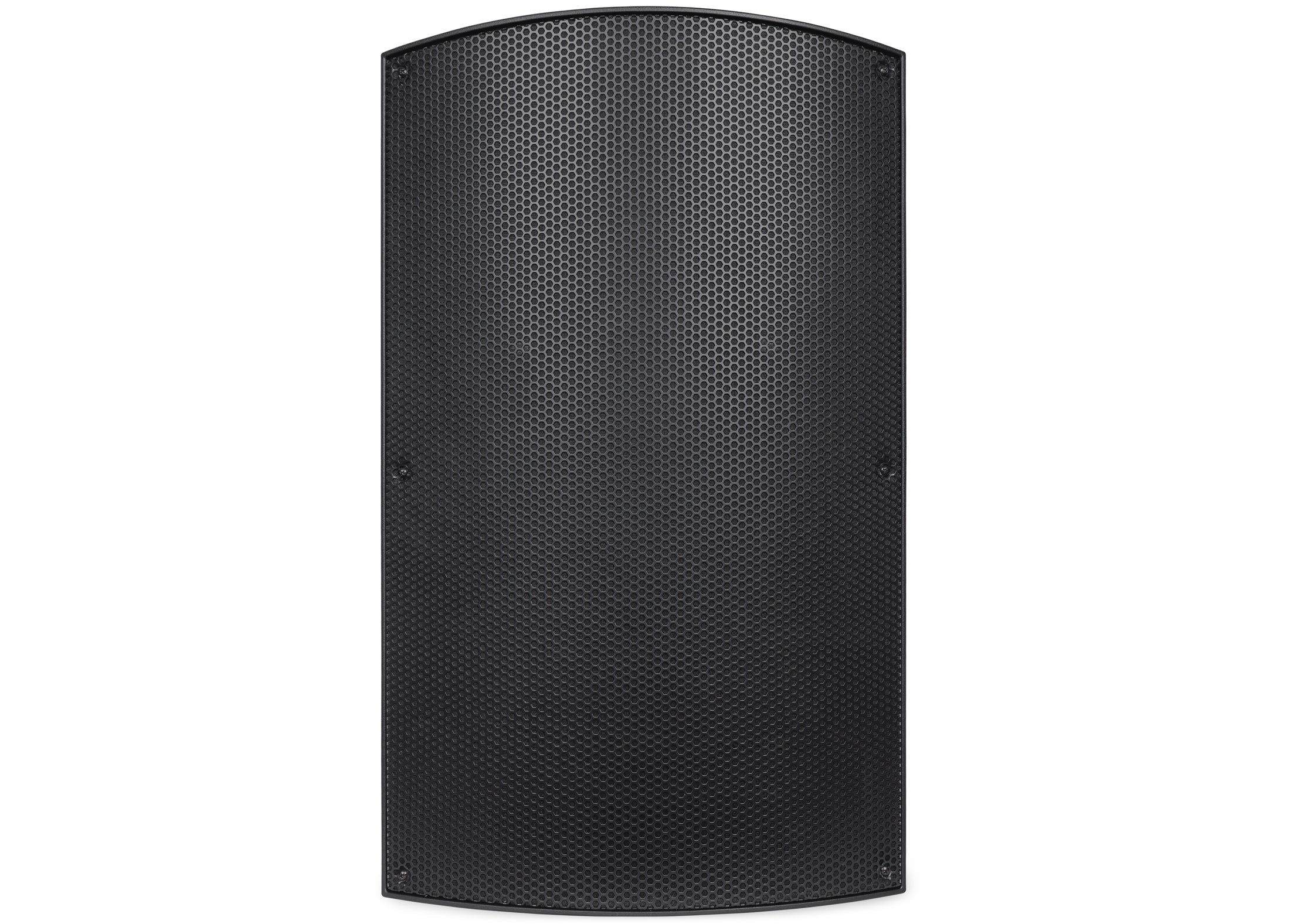 Pure Resonance Audio P115 Passive 15 Inch PA Speaker 350W Output Front View 1