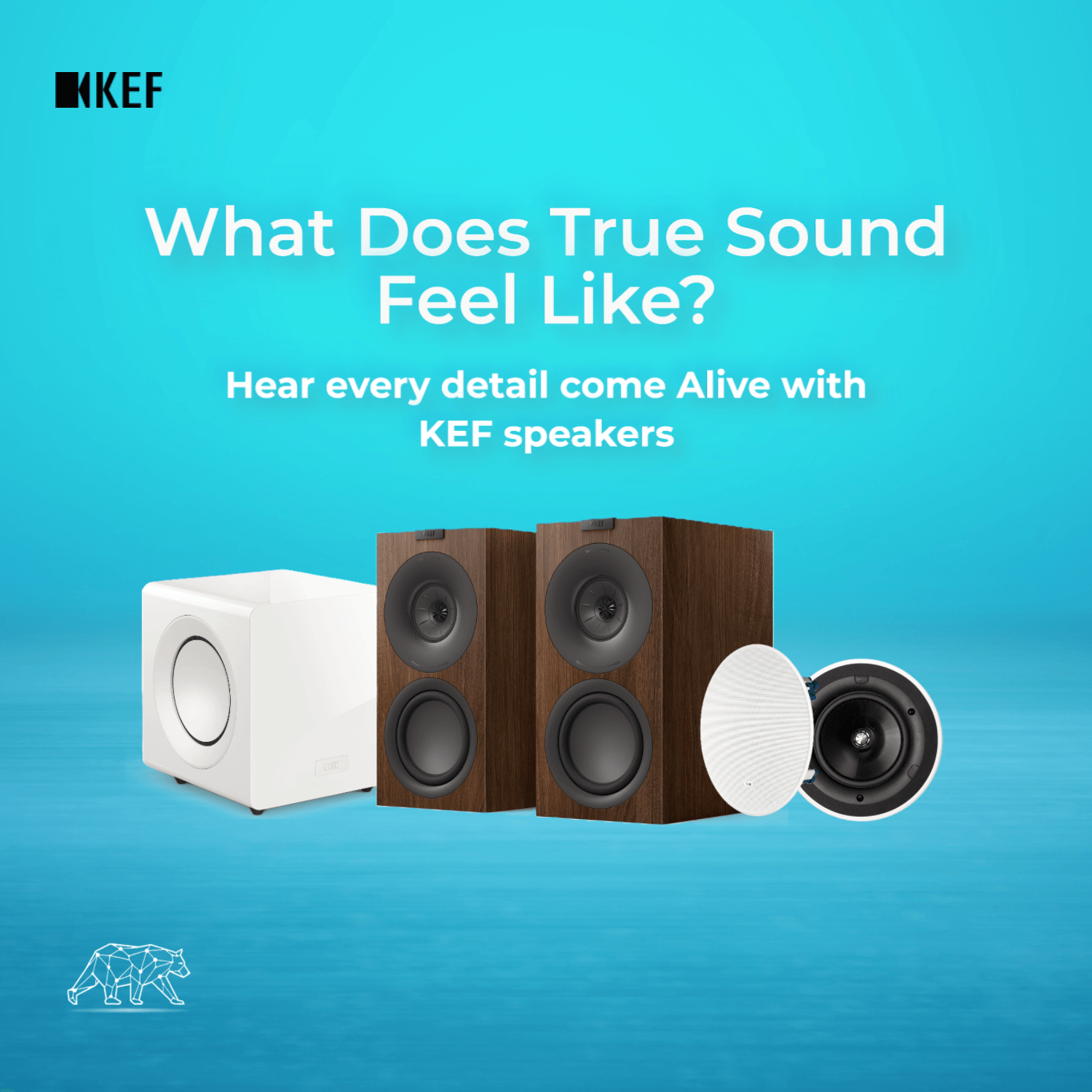 KEF speakers banner featuring premium home audio collection available at Bear Security Shop
KEF speakers with promotional text on a blue background