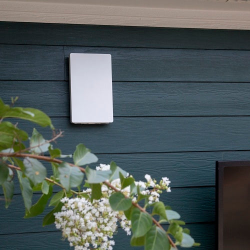 Araknis AN-520-AP-O Wi-Fi 6 Outdoor Access Point PoE+ 3000Mbps
Rectangular metal object on a dark wooden wall with greenery in the foreground